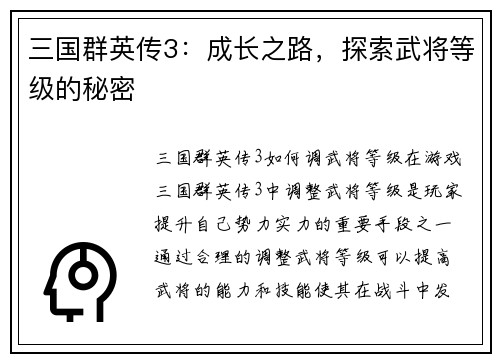 三国群英传3：成长之路，探索武将等级的秘密